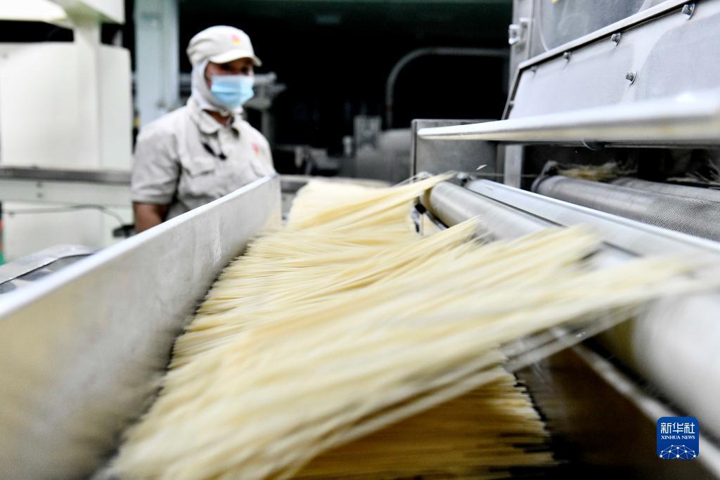 永利视讯下注